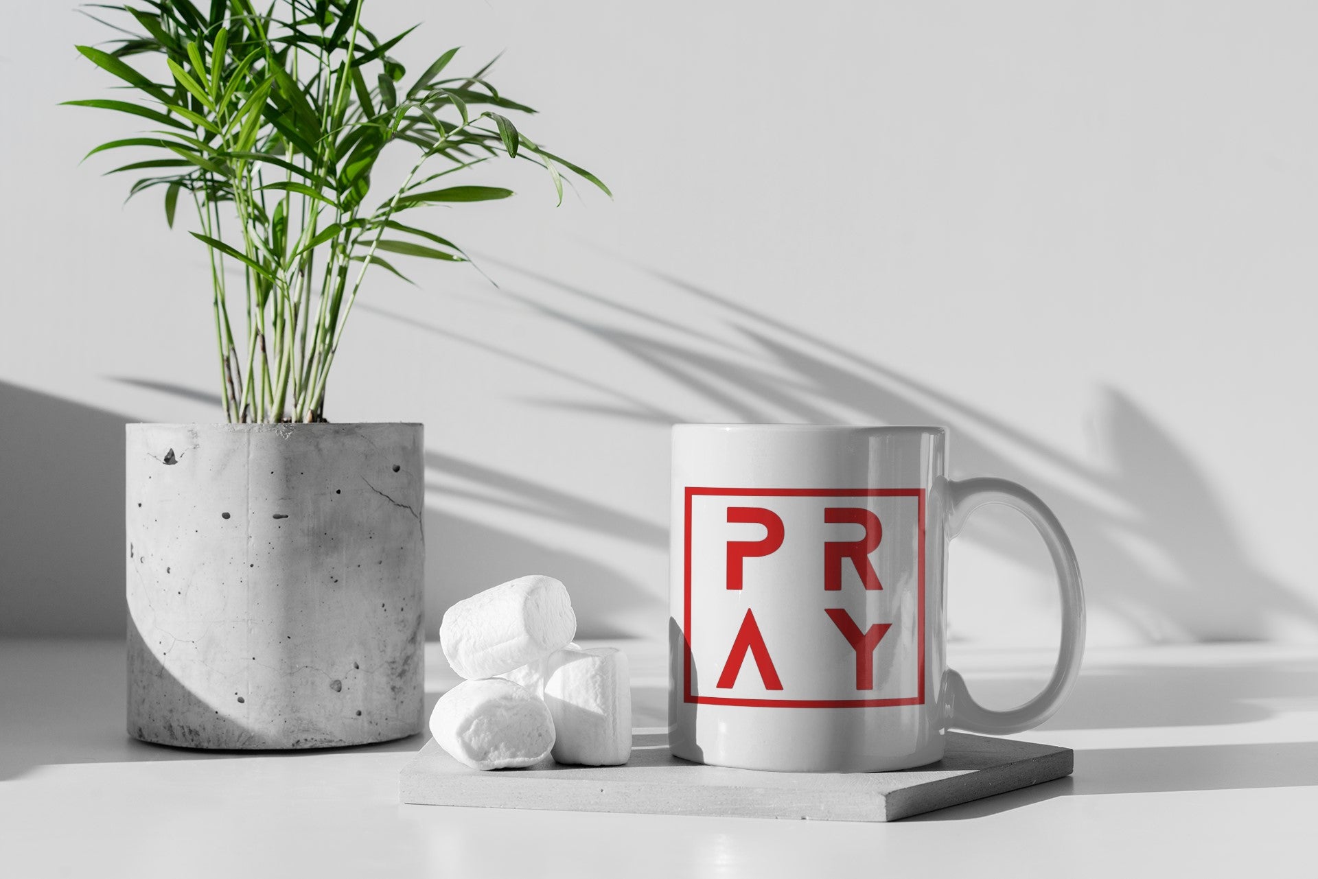 White mug with 'PRAY' printed on it, concrete planter, and white stones on a light surface.
