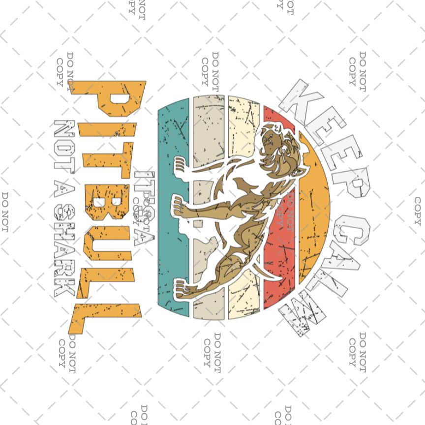 Chill Vibes Funny Retro DTF Transfer Iron on Decal