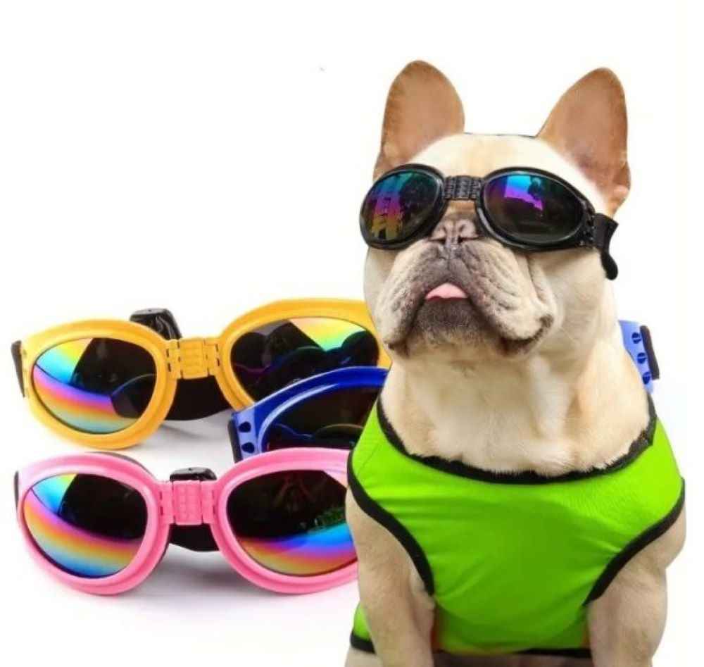 Pet Sunglasses Pet Goggles Puppy Foldable Sunglasses Pet Supplies