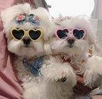 Pet Sunglasses Pet Goggles Puppy Foldable Sunglasses Pet Supplies