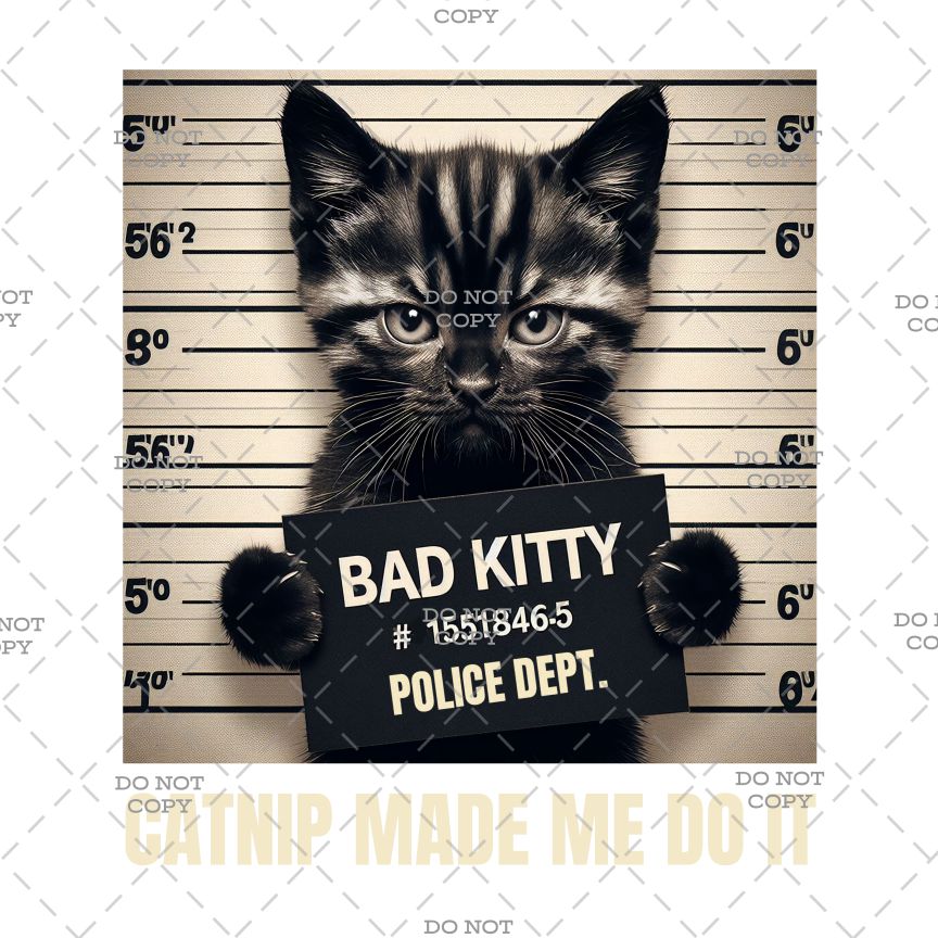 Cat holding a sign that reads 'Bad Kitty' in front of a mugshot background.
