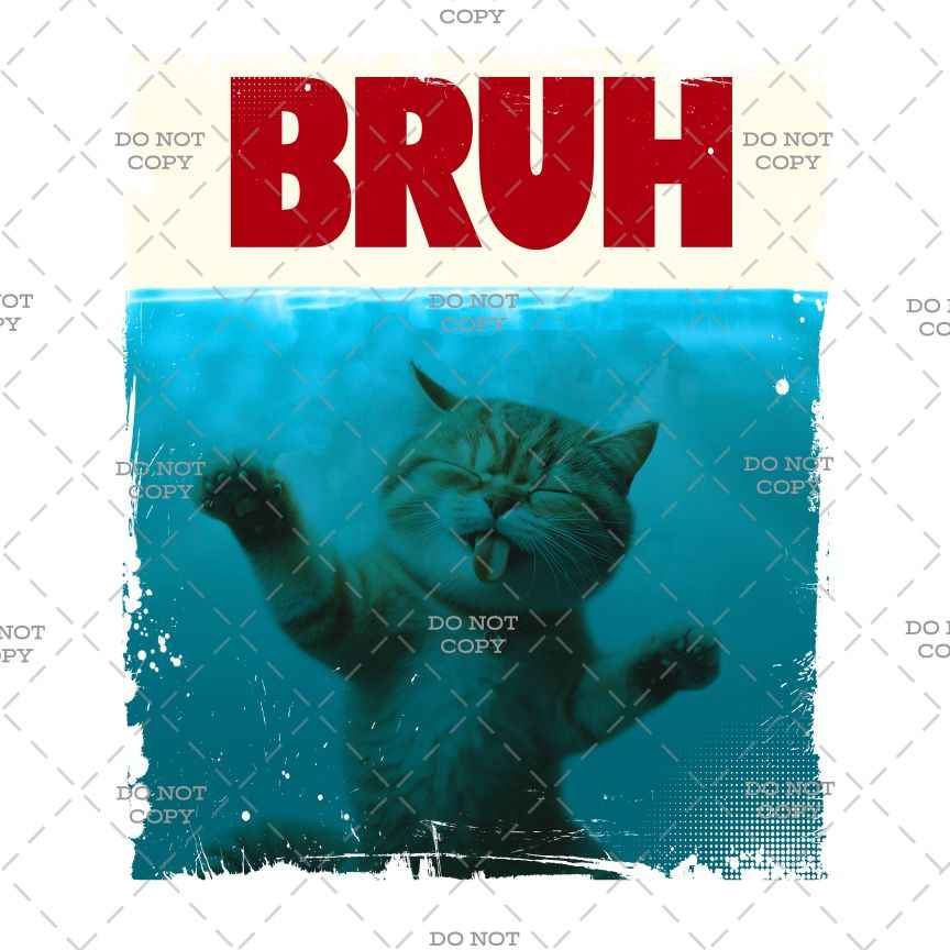 Bruh Cat Meme Iron-On Transfer, Funny Design, Black T-Shirt DTF Print
