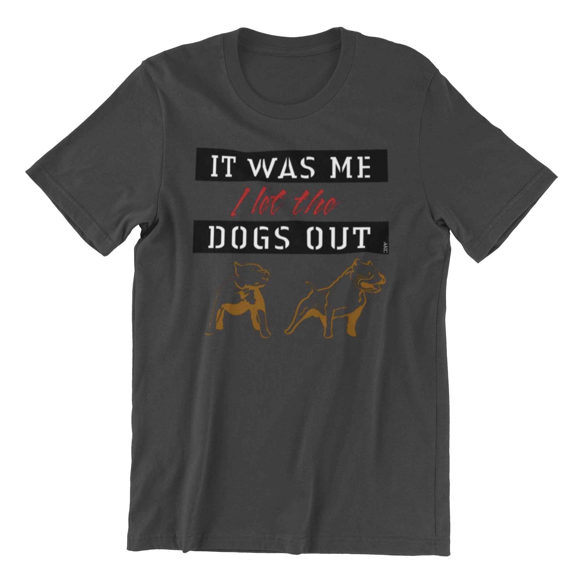Retro Hip Hop Music Lover T-Shirt, It was Me I Let The Dogs Out, Dark Gray Graphic Tee