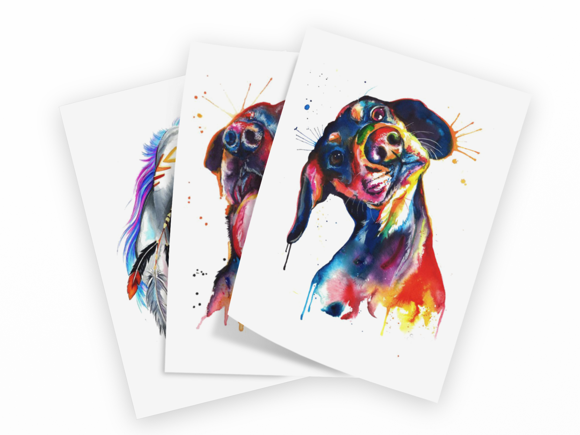 Three watercolor art prints of a dachshund dog in colorful watercolor style, fanned out on a white background.